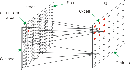 Fig. 11.2 - C-cell function