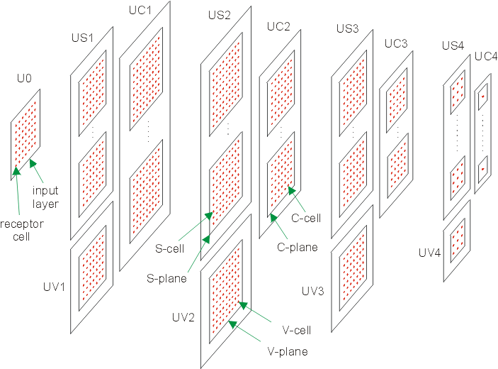 Fig. 7.1 - Network structure - Cells