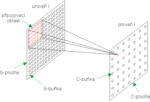 Obr. 11.1 - Pipojovac oblast C-buky