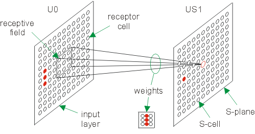 Fig. 9.2 - S-cell function