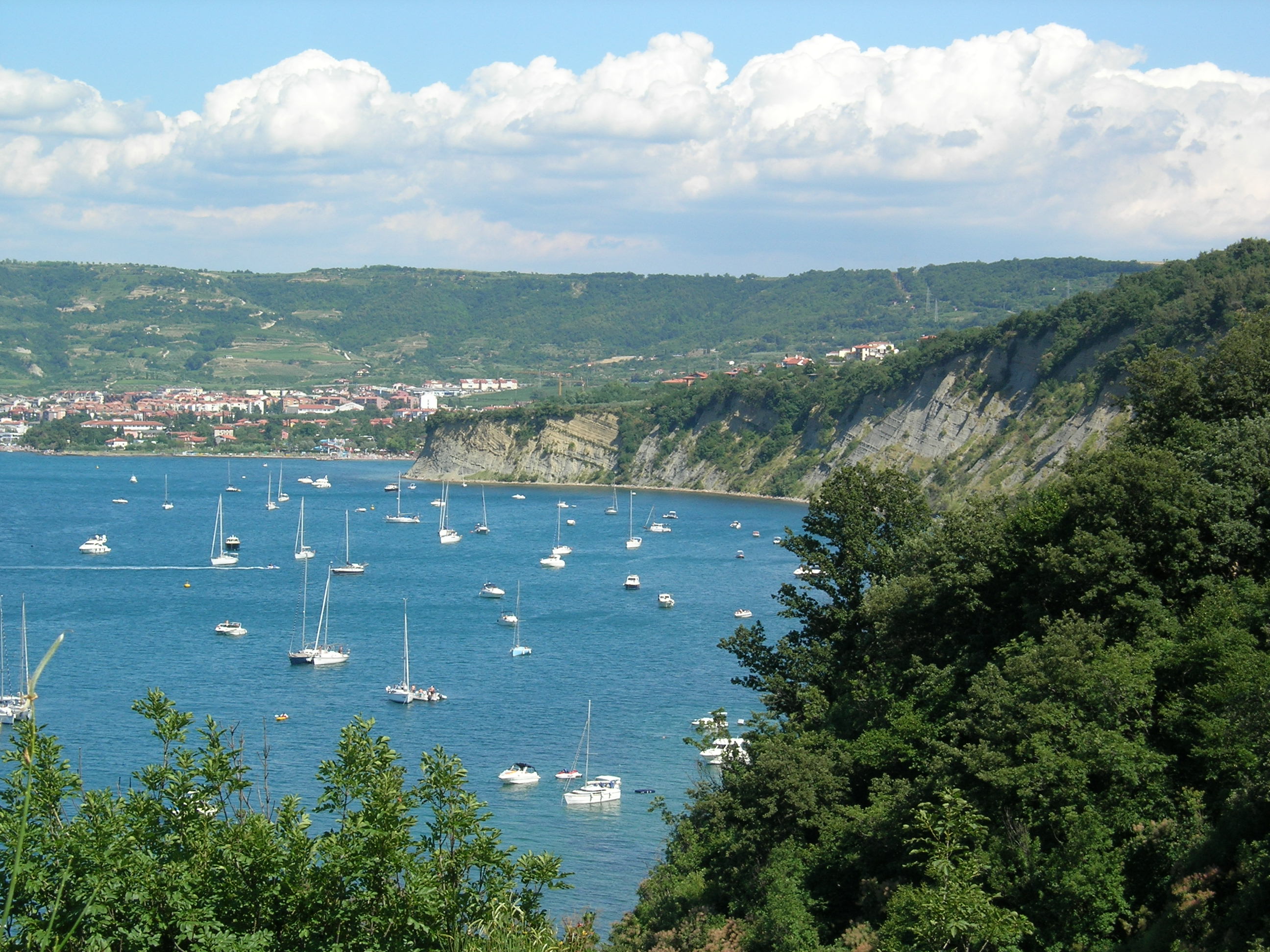 Strunjan Nature Reserve