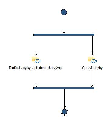 Activity diagram: Opravit chyby a nedodělky