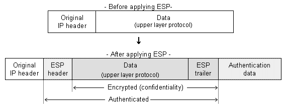 \begin{figure}\epsfig{file=ESP_transport.eps, width=1\textwidth}\end{figure}