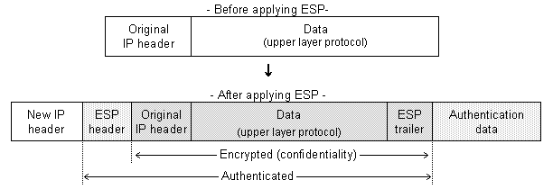 \begin{figure}\epsfig{file=ESP_tunnel.eps, width=1\textwidth}\end{figure}